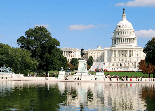 Washington DC SEO Companies in 2026: Authority Building in the Nation's Capital